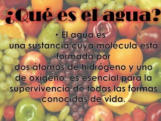 ¿Qué es el agua?
 