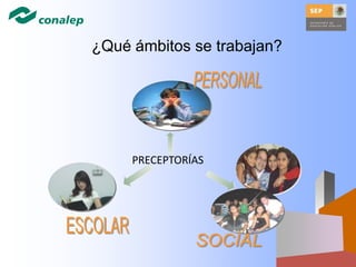 PRECEPTORÍAS
¿Qué ámbitos se trabajan?
 
