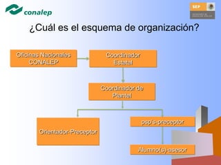 Coordinador
Estatal
Coordinador de
Plantel
Orientador-Preceptor
psp’s-preceptor
Alumno(s)-asesor
Oficinas Nacionales
CONALEP
¿Cuál es el esquema de organización?
 