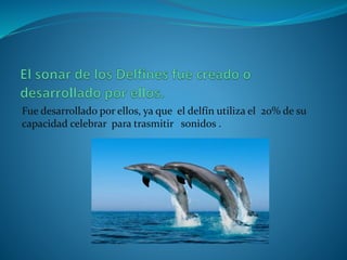Fue desarrollado por ellos, ya que el delfín utiliza el 20% de su
capacidad celebrar para trasmitir sonidos .
 