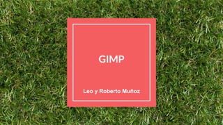 GIMP
Leo y Roberto Muñoz
 
