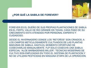 ¿POR QUÉ LA SABILA DE FOREVER? FOREVER ES EL DUEÑO DE SUS PROPIAS PLANTACIONES DE SABILA EN EL FERTIL VALLE DE RIO GRANDE EN TEXAS, CADA PASO DE SU CRECIMIENTO ESTA ATENDIDO POR PERSONAL EXPERTO Y CUIDADOSO. DESDE EL INVERNADERO DONDE LOS “RETOÑOS” SON CRIADOS, A LOS CAMPOS METICULOSAMENTE CULTIVADOS DE LAS PLANTAS MADURAS DE SABILA, HASTA EL MOMENTO OPORTUNO DE COSECHARLAS MANUALMENTE. FLP SOLO COSECHA UNA SABILA ESPECIAL “ALOE BARBADENSIS MILLER”. TECNICAS MODERNAS DE CULTIVO SON EMPLEADAS EN TODO EL SISTEMA DE PLANTACION Y NO SE UTILIZAN PESTICIDAS EN NINGUNA ETAPA DE LA OPERACIÓN. 