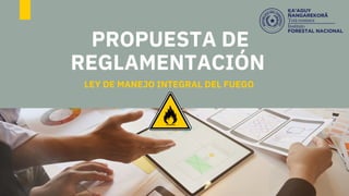 PROPUESTA DE
REGLAMENTACIÓN
LEY DE MANEJO INTEGRAL DEL FUEGO
 