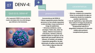 07
QUE ES EL DENV-4? prevencion.
caracteristicas
DENV-4:
Características del DENV-4:
• Menor exposición previa: Muchas
personas no han estado expuestas
a este serotipo, lo que aumenta el
riesgo de epidemias.
• Síntomas similares a otros
serotipos: Fiebre alta, dolor de
cabeza, dolores musculares y
articulares, vómitos y diarrea.
• Posibles daños en órganos: Se ha
observado que puede afectar los
riñones, el corazón y el cerebro.
• Expansión geográfica: Ha sido
detectado en países como Brasil,
Perú, India y algunas islas del
Pacífico
Prevención:
• Eliminar criaderos de mosquitos:
Evitar la acumulación de agua en
recipientes donde los mosquitos
puedan reproducirse.
• Uso de repelentes y ropa adecuada:
Para reducir el riesgo de picaduras.
• Vigilancia epidemiológica: Es
fundamental reforzar el
diagnóstico temprano y la atención
médica para prevenir
complicaciones graves.
¡Por supuesto! DENV-4 es uno de los
cuatro serotipos del virus del dengue
que afectan a los humanos.
 
