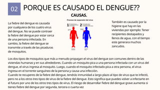 02
La fiebre del dengue es causada
por cualquiera de los cuatro virus
del dengue. No se puede contraer
la fiebre del dengue por estar cerca
de una persona infectada. En
cambio, la fiebre del dengue se
transmite a través de las picaduras
de mosquitos.
PORQUE ES CAUSADO EL DENGUE??
CAUSAS.
También es causado por la
higiene que hay en las
viviendas por ejemplo: Tener
recipientes destapados y
llenos de agua, con el tiempo
este generara muchos
zancudos.
Los dos tipos de mosquitos que más a menudo propagan el virus del dengue son comunes dentro de las
viviendas humanas y en sus alrededores. Cuando un mosquito pica a una persona infectada con un virus del
dengue, el virus ingresa al mosquito. Luego, cuando el mosquito infectado pica a otra persona, el virus
ingresa en el torrente sanguíneo de la persona y causa una infección.
Cuando te recuperes de la fiebre del dengue, tendrás inmunidad a largo plazo al tipo de virus que te infectó,
pero no a los otros tres tipos de virus de la fiebre del dengue. Esto significa que puedes volver a infectarte en
el futuro por uno de los otros tres tipos de virus. El riesgo de desarrollar fiebre del dengue grave aumenta si
tienes fiebre del dengue por segunda, tercera o cuarta vez
 