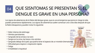 04
Los signos de advertencia de la fiebre del dengue grave, que es una emergencia que pone en riesgo la vida,
pueden presentarse rápidamente. Los signos de advertencia suelen comenzar uno o dos días después de que
la fiebre desaparece y pueden incluir lo siguiente:
• Dolor intenso de estómago
• Vómitos persistentes
• Sangrado de las encías o la nariz
• Sangre en la orina, las heces o los vómitos
• Sangrado debajo de la piel, que podría tener el aspecto de un moretón (hematoma)
• Dificultad para respirar o respiración rápida
• Fatiga
• Irritabilidad o inquietud
QUE SISNTOMAS SE PRESENTAN SI EL
DENGUE ES GRAVE EN UNA PERSONA?
 