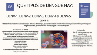 06
DENV-1, DENV-2, DENV-3, DENV-4 y DENV-5
QUE TIPOS DE DENGUE HAY:
El DENV-1 es uno de los cuatro serotipos del virus del dengue, que pertenece a la familia Flaviviridae y es transmitido por mosquitos
del género Aedes, principalmente Aedes aegypti y Aedes albopictus.
DENV 1:
Características del DENV-1:
Es el serotipo más antiguo identificado y suele causar fiebre leve.
No genera inmunidad cruzada con los otros serotipos (DENV-2,
DENV-3 y DENV-4), lo que significa que una persona puede
infectarse varias veces con diferentes serotipos.
Se ha observado un aumento en la incidencia del dengue en los
últimos años, con brotes en regiones donde antes no era común.
Síntomas del dengue:
Fiebre alta repentina.
Dolor de cabeza intenso.
Dolor muscular y articular.
Erupciones en la piel.
En casos graves, puede evolucionar a dengue hemorrágico, con
sangrado interno y shock
Prevención:
• Uso de repelentes y ropa que
cubra la piel.
• Eliminación de criaderos de
mosquitos (agua estancada).
• Instalación de mosquiteros en
ventanas y puertas.
• Vigilancia epidemiológica para
evitar la propagación del virus.
 