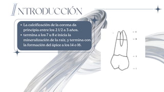 NTRODUCCIÓN
La calcificación de la corona da
principia entre los 2 1/2 a 3 años.
termina a los 7 u 8 e inicia la
mineralización de la raíz, y termina con
la formación del ápice a los 14 o 16.
 