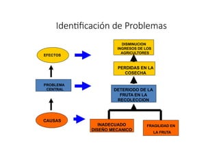EFECTOS
CAUSAS
PROBLEMA
CENTRAL
DISMINUCION
INGRESOS DE LOS
AGRICULTORES
PERDIDAS EN LA
COSECHA
DETERIODO DE LA
FRUTA EN LA
RECOLECCION
INADECUADO
DISEÑO MECANICO
FRAGILIDAD EN
LA FRUTA
Identificación de Problemas
 