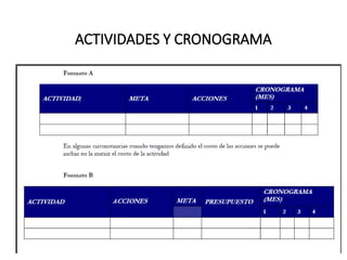 ACTIVIDADES Y CRONOGRAMA
 