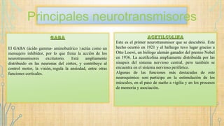 Principales neurotransmisores
GaBaGaBa
El GABA (ácido gamma- aminobutírico ) actúa como un
mensajero inhibidor, por lo que frena la acción de los
neurotransmisores excitatorio. Está ampliamente
distribuido en las neuronas del córtex, y contribuye al
control motor, la visión, regula la ansiedad, entre otras
funciones corticales.
acetilcolinaacetilcolina
Este es el primer neurotransmisor que se descubrió. Este
hecho ocurrió en 1921 y el hallazgo tuvo lugar gracias a
Otto Loewi, un biólogo alemán ganador del premio Nobel
en 1936. La acetilcolina ampliamente distribuida por las
sinapsis del sistema nervioso central, pero también se
encuentra en el sistema nervioso periférico.
Algunas de las funciones más destacadas de este
neuroquímico son: participa en la estimulación de los
músculos, en el paso de sueño a vigilia y en los procesos
de memoria y asociación.
 
