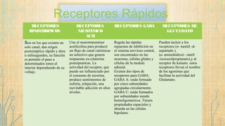 Receptores Rápidos
RECEPTORES
IONOTROPICOS
RECEPTORES
NICOTINICO
ACH
RECEPTORES GABA RECEPTORES DE
GLUTAMATO
Son en los que existen un
solo canal, dan origen
postsináptico rápido y dura
n milisegundos, su función
es permitir el paso a
determinados iones al
interior dependiendo de su
voltaje.
Une el neurotransmisor
acetilcolina para producir
un flujo de canal catiónicas
no selectivo que genera
respuestas ex-citatorias
postsipnaticas. La
actividad del receptor, que
puede ser influenciado por
el consumo de nicotina,
produce sentimientos de
euforia, relajación, una
inevitable adicción en altos
niveles.
Regula las rápidas
repuestas de inhibición en
el sistema nervioso central,
son encontrados en las
neuronas, células gliales y
células de la medula
adrenal.
Existen dos tipos de
receptores para GABA:
GABA A: están formado
por cinco subunidades
agrupadas circularmente.
GABA C: están formados
por subunidades siendo
homoligomericos. Tienen
propiedades espaciales y
abunda en las células
bipolares .
Pueden incluir a los
receptores (n- mentil -d-
aspartado ),
(a- aminohidroxi –metil
-isoxazolpropianato),y al
receptor de kainato. estos
receptores llevan el nombre
de los agonistas que
facilitan la actividad del
Glutamato.
 