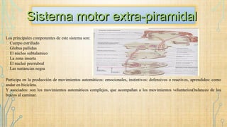 Sistema motor extra-piramidalSistema motor extra-piramidal
Los principales componentes de este sistema son:
֎Cuerpo estrillado
֎Globus pallidus
֎El núcleo subtalamico
֎La zona inserta
֎El nucleó prerrubral
֎Las sustancias negra
Participa en la producción de movimientos automáticos: emocionales, instintivos: defensivos o reactivos, aprendidos: como
andar en bicicleta.
Y asociados: son los movimientos automáticos complejos, que acompañan a los movimientos voluntarios(balanceo de los
brazos al caminar.
 