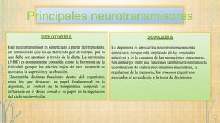 Principales neurotransmisores
SerotoninaSerotonina
Este neurotransmisor es sintetizado a partir del triptófano,
un aminoácido que no es fabricado por el cuerpo, por lo
que debe ser aportado a través de la dieta. La serotonina
(5-HT) es comúnmente conocida como la hormona de la
felicidad, porque los niveles bajos de esta sustancia se
asocian a la depresión y la obsesión.
 Desempeña distintas funciones dentro del organismo,
entre los que destacan: su papel fundamental en la
digestión, el control de la temperatura corporal, su
influencia en el deseo sexual o su papel en la regulación
del ciclo sueño-vigilia.
DopaminaDopamina
La dopamina es otro de los neurotransmisores más
conocidos, porque está implicado en las conductas
adictivas y es la causante de las sensaciones placenteras.
Sin embargo, entre sus funciones también encontramos la
coordinación de ciertos movimientos musculares, la
regulación de la memoria, los procesos cognitivos
asociados al aprendizaje y la toma de decisiones.
 