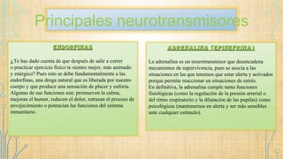 Principales neurotransmisores
enDorfinaSenDorfinaS
¿Te has dado cuenta de que después de salir a correr
o practicar ejercicio físico te sientes mejor, más animado
y enérgico? Pues esto se debe fundamentalmente a las
endorfinas, una droga natural que es liberada por nuestro
cuerpo y que produce una sensación de placer y euforia.
Algunas de sus funciones son: promueven la calma,
mejoran el humor, reducen el dolor, retrasan el proceso de
envejecimiento o potencian las funciones del sistema
inmunitario.
aDrenalina (epinefrina)aDrenalina (epinefrina)
La adrenalina es un neurotransmisor que desencadena
mecanismos de supervivencia, pues se asocia a las
situaciones en las que tenemos que estar alerta y activados
porque permite reaccionar en situaciones de estrés.
En definitiva, la adrenalina cumple tanto funciones
fisiológicas (como la regulación de la presión arterial o
del ritmo respiratorio y la dilatación de las pupilas) como
psicológicas (mantenernos en alerta y ser más sensibles
ante cualquier estímulo).
 