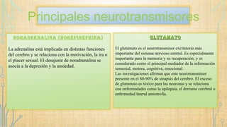 Principales neurotransmisores
noraDrenalina (norepinefrina)
La adrenalina está implicada en distintas funciones
del cerebro y se relaciona con la motivación, la ira o
el placer sexual. El desajuste de noradrenalina se
asocia a la depresión y la ansiedad.
GlutamatoGlutamato
El glutamato es el neurotransmisor excitatorio más
importante del sistema nervioso central. Es especialmente
importante para la memoria y su recuperación, y es
considerado como el principal mediador de la información
sensorial, motora, cognitiva, emocional.
Las investigaciones afirman que este neurotransmisor
presente en el 80-90% de sinapsis del cerebro. El exceso
de glutamato es tóxico para las neuronas y se relaciona
con enfermedades como la epilepsia, el derrame cerebral o
enfermedad lateral amiotrofia.
 
