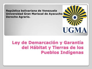 República bolivariana de Venezuela
Universidad Gran Mariscal de Ayacucho
Derecho Agrario.




   Ley de Demarcación y Garantía
       del Hábitat y Tierras de los
               Pueblos Indígenas
 