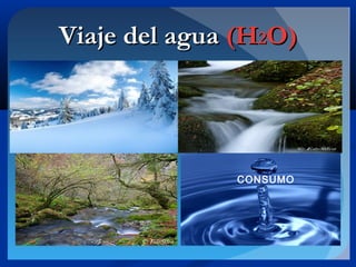 Viaje del aguaViaje del agua (H(H22O)O)
CONSUMO
 