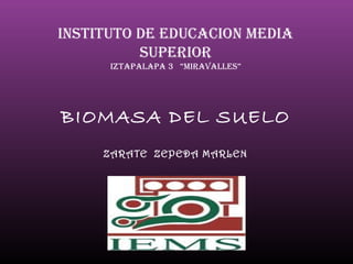 INSTITUTO DE EDUCACION MEDIA
SUPERIOR
IZTAPALAPA 3 “MIRAVALLES”
BIOMASA DEL SUELO
ZARATE ZEPEDA MARLEN
 
