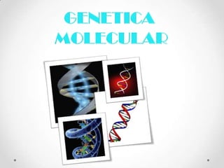 GENETICA  MOLECULAR 