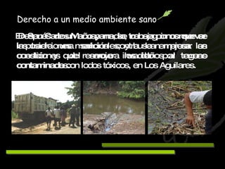 Después de un año y medio, conseguimos que se impusiera una sanción contra la empresa en cuestión y que resarciera los daños al terreno contaminado con lodos tóxicos, en Los Aguilares. Derecho a un medio ambiente sano En San Carlos Macuspana, se trabaja por conservar las tradiciones medicinales, y buscan mejorar las condiciones del arroyo invadido por aguas contaminadas. 