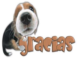 Presentacion de redes sociales