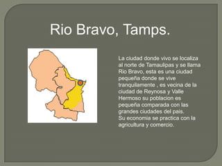 Rio Bravo, Tamps. La ciudad donde vivo se localiza al norte de Tamaulipas y se llama Rio Bravo, esta es una ciudad pequeña donde se vive tranquilamente , es vecina de la ciudad de Reynosa y Valle Hermoso su poblacion es pequeña comparada con las grandes ciudades del pais. Su economia se practica con la agricultura y comercio. 
