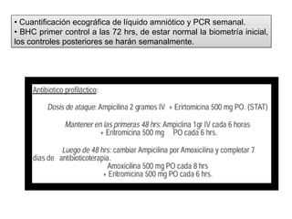 Bhc Normal patologia de ruptura prematura de menbranas | PPTX