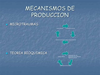 MECANISMOS DE
PRODUCCION
 MICROTRAUMAS
 TEORIA BIOQUIMICA
PERDIDA DE CELULAS
ZONAS DE MICROTRAUMAS
PERDIDA DE EPITELIO
PICOS SONOROS
Disminucion de P O2
Disminucion de Ac. Nucleicos
Disminucion de ATP
Destruccion de las celulas
Ruidos >85 dB
 