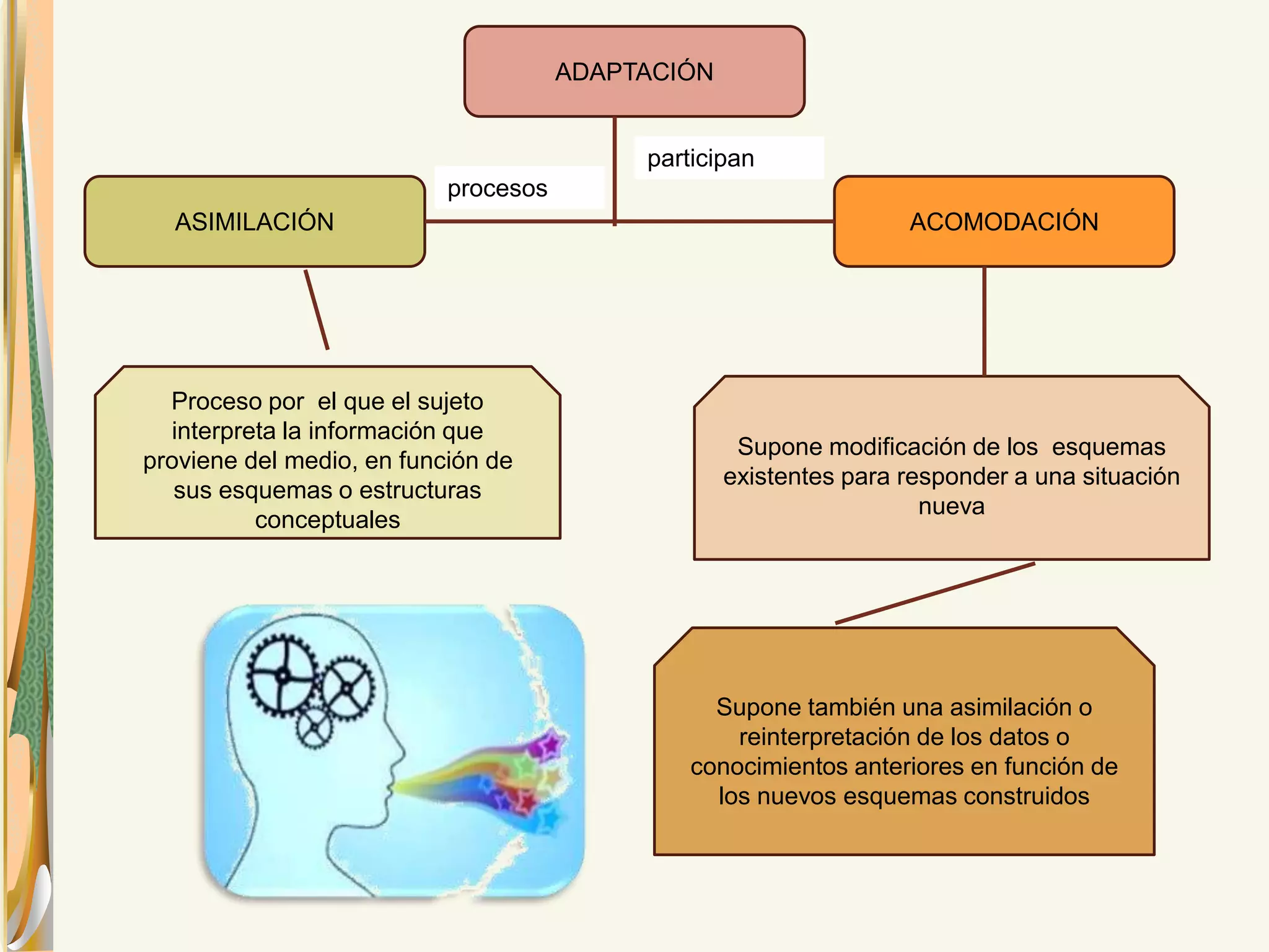 participan 
ASIMILACIÓN ACOMODACIÓN 
Proceso por el que el sujeto 
interpreta la información que 
proviene del medio, en función de 
sus esquemas o estructuras 
conceptuales 
Supone modificación de los esquemas 
existentes para responder a una situación 
nueva 
ADAPTACIÓN 
Supone también una asimilación o 
reinterpretación de los datos o 
conocimientos anteriores en función de 
los nuevos esquemas construidos 
procesos 
 