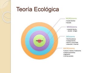 Teoría Ecológica
 