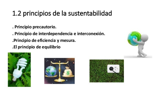 Presentacion desarrollo sustentable