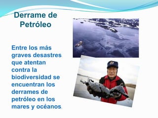 Derrame de PetróleoEntre los más graves desastres que atentan contra la biodiversidad se encuentran los derrames de petróleo en los mares y océanos.