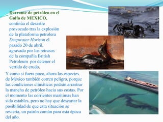 Derrame de petróleo en el Golfo de MEXICO, continúa el desastre provocado tras la explosión de la plataforma petrolera DeepwaterHorizon el pasado 20 de abril, agravado por los retrasos de la compañía British Petroleum por detener el vertido de crudo.Y como si fuera poco, ahora las especies de México también corren peligro, porque las condiciones climáticas podrán arrastrar la mancha de petróleo hacia sus costas. Por el momento las corrientes marítimas han sido estables, pero no hay que descartar la posibilidad de que esta situación se revierta, un patrón común para esta época del año.