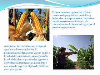 Al decir excesivos, quiere decir que el consumo de plaguicidas, pesticidas y herbicidas , Y las personas no toman en cuenta los costos ambientales  y la contaminación de fuentes de agua por el uso de estos químicos. Asimismo, la concentración temporal aguda o la bioacumulación de plaguicidas pueden causar graves daños a la salud de las personas, así como dañar la salud de plantas y animales ligados a actividades agropecuarias, pesqueras o que sean de especies objeto de políticas de conservación. 