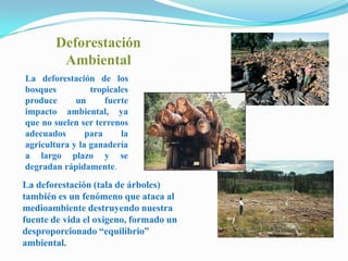 Deforestación AmbientalLa deforestación de los bosques tropicales produce un fuerte impacto ambiental, ya que no suelen ser terrenos adecuados para la agricultura y la ganadería a largo plazo y se degradan rápidamente.La deforestación (tala de árboles) también es un fenómeno que ataca al medioambiente destruyendo nuestra fuente de vida el oxigeno, formado un desproporcionado “equilibrio” ambiental.