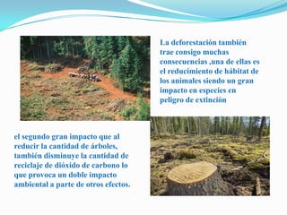 La deforestación también trae consigo muchas consecuencias ,una de ellas es el reducimiento de hábitat de los animales siendo un gran impacto en especies en peligro de extinciónel segundo gran impacto que al reducir la cantidad de árboles, también disminuye la cantidad de reciclaje de dióxido de carbono lo que provoca un doble impacto ambiental a parte de otros efectos.