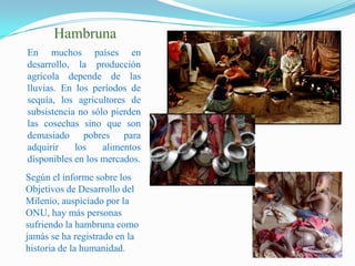 HambrunaEn muchos países en desarrollo, la producción agrícola depende de las lluvias. En los períodos de sequía, los agricultores de subsistencia no sólo pierden las cosechas sino que son demasiado pobres para adquirir los alimentos disponibles en los mercados.Según el informe sobre los Objetivos de Desarrollo del Milenio, auspiciado por la ONU, hay más personas sufriendo la hambruna como jamás se ha registrado en la historia de la humanidad.