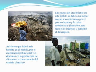 Las causas del crecimiento en este ámbito se debe a un menor acceso a los alimentos por el precio elevado y la crisis económica y financiera, que redujo los ingresos y aumentó el desempleo.Advierten que habrá más hambre en el mundo, por el crecimiento poblacional y el descenso en la producción de alimentos, a consecuencia del cambio climático.