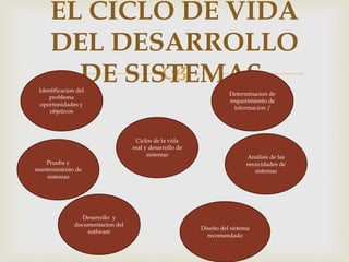 
EL CICLO DE VIDA
DEL DESARROLLO
DE SISTEMAS.
Ciclos de la vida
real y desarrollo de
sistemas
Prueba y
mantenimiento de
sistemas
Identificacion del
problema
oportunidades y
objetivos
Determinacion de
requerimiento de
informacion /
Analisis de las
nececidades de
sistemas
Diseño del sistema
recomendado
Desarrollo y
documentacion del
sotfware
 