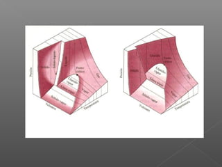 Presentacion de slideshare 2003