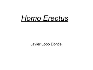 Homo Erectus Javier Lobo Doncel 