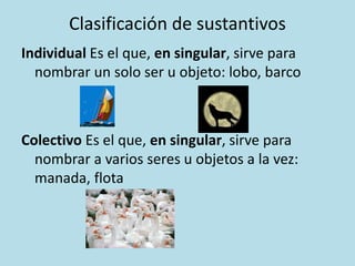 Clasificación de sustantivos
Individual Es el que, en singular, sirve para
nombrar un solo ser u objeto: lobo, barco
Colectivo Es el que, en singular, sirve para
nombrar a varios seres u objetos a la vez:
manada, flota
 