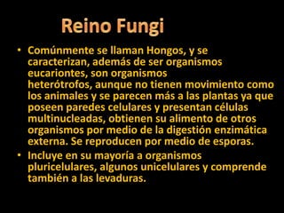 • Comúnmente se llaman Hongos, y se
caracterizan, además de ser organismos
eucariontes, son organismos
heterótrofos, aunque no tienen movimiento como
los animales y se parecen más a las plantas ya que
poseen paredes celulares y presentan células
multinucleadas, obtienen su alimento de otros
organismos por medio de la digestión enzimática
externa. Se reproducen por medio de esporas.
• Incluye en su mayoría a organismos
pluricelulares, algunos unicelulares y comprende
también a las levaduras.
 