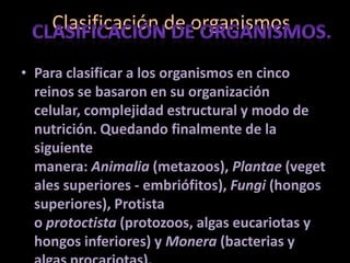 Clasificación de organismos.
• Para clasificar a los organismos en cinco
reinos se basaron en su organización
celular, complejidad estructural y modo de
nutrición. Quedando finalmente de la
siguiente
manera: Animalia (metazoos), Plantae (veget
ales superiores - embriófitos), Fungi (hongos
superiores), Protista
o protoctista (protozoos, algas eucariotas y
hongos inferiores) y Monera (bacterias y
 
