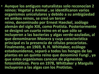 • Aunque los antiguos naturalistas solo reconocían 2
reinos: Vegetal y Animal , se identificaron varios
organismos unicelulares y debido a su ambigüedad
en ambos reinos, se creó un tercer
reino, denominado por Ernest Haeckel, zoólogo
alemán del siglo XIX, como Protista. Posteriormente
se designó un cuarto reino en el que sólo se
incluyeron a las bacterias y algas verde-azuladas, al
que denominaron Monera y cuya característica
principal es la presencia de células procariotas.
Finalmente, en 1969, R. H. Whittaker, ecólogo
estadounidense, separó a todos los hongos de las
plantas en un quinto reino que denominó Fungi , ya
que estos organismos carecen de pigmentos
fotosintéticos. Pero en 1978, Whittaker y Margulis
incluyeron a las algas con los Protistas.
 