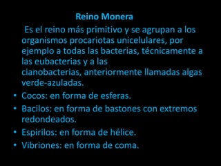 Reino Monera
Es el reino más primitivo y se agrupan a los
organismos procariotas unicelulares, por
ejemplo a todas las bacterias, técnicamente a
las eubacterias y a las
cianobacterias, anteriormente llamadas algas
verde-azuladas.
• Cocos: en forma de esferas.
• Bacilos: en forma de bastones con extremos
redondeados.
• Espirilos: en forma de hélice.
• Vibriones: en forma de coma.
 