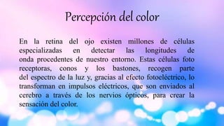 Percepción del color
En la retina del ojo existen millones de células
especializadas en detectar las longitudes de
onda procedentes de nuestro entorno. Estas células foto
receptoras, conos y los bastones, recogen parte
del espectro de la luz y, gracias al efecto fotoeléctrico, lo
transforman en impulsos eléctricos, que son enviados al
cerebro a través de los nervios ópticos, para crear la
sensación del color.
 