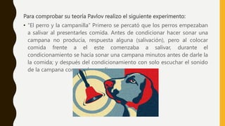 Para comprobar su teoría Pavlov realizo el siguiente experimento:
• “El perro y la campanilla” Primero se percató que los ...