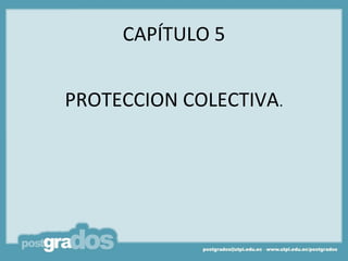CAPÍTULO 5


PROTECCION COLECTIVA.
 